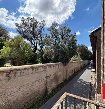 Foto annuncio 32
