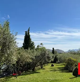 Foto annuncio 25