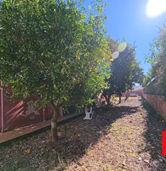 Foto annuncio 42