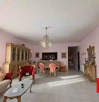Foto annuncio 12