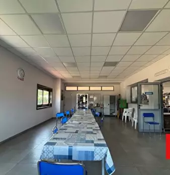 Foto annuncio 8
