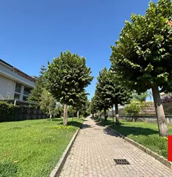 Foto annuncio 25