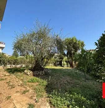 Foto annuncio 22