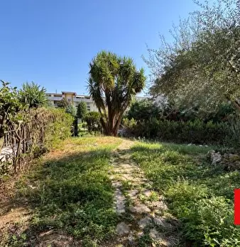 Foto annuncio 24