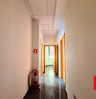 Foto annuncio 24