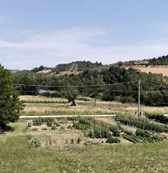 Foto annuncio 18