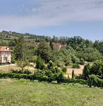 Foto annuncio 19