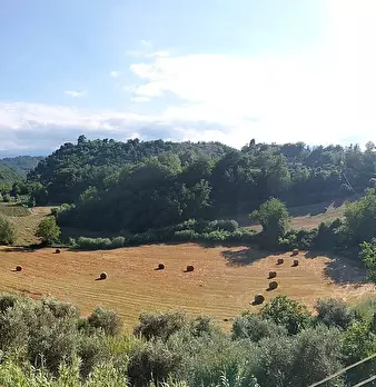 Foto annuncio 19