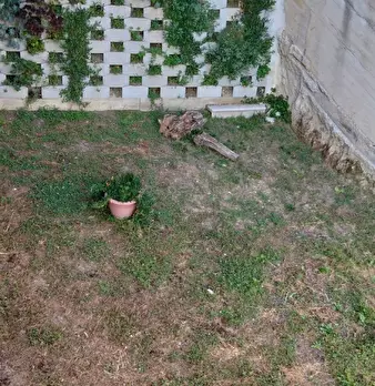 Foto annuncio 12