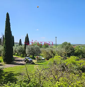 Foto annuncio 11