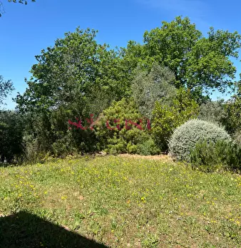 Foto annuncio 20