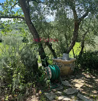 Foto annuncio 23