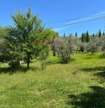 Foto annuncio 25