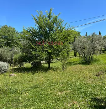 Foto annuncio 26