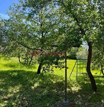 Foto annuncio 28