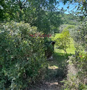 Foto annuncio 29