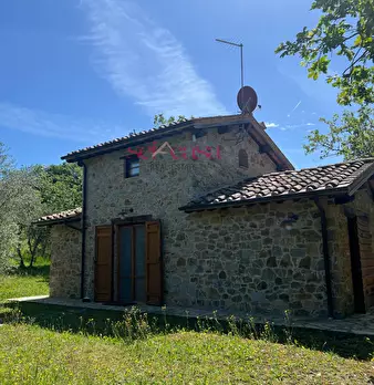 Foto annuncio 31