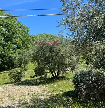 Foto annuncio 32