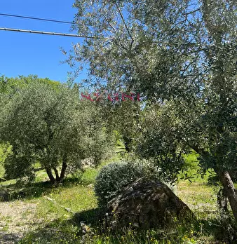 Foto annuncio 33
