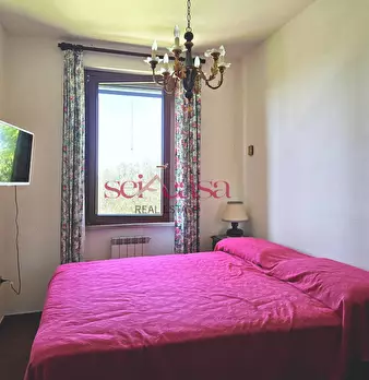 Foto annuncio 24