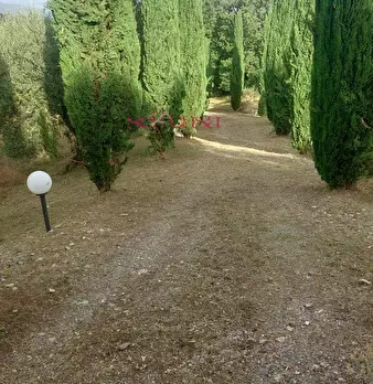 Foto annuncio 35