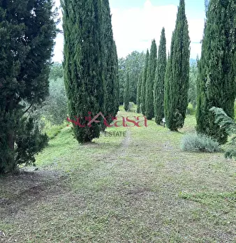 Foto annuncio 36