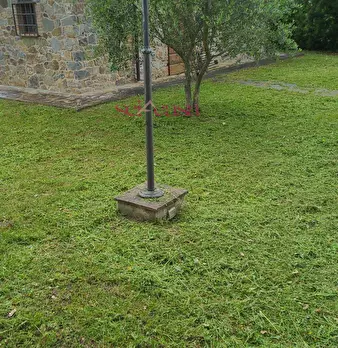 Foto annuncio 39