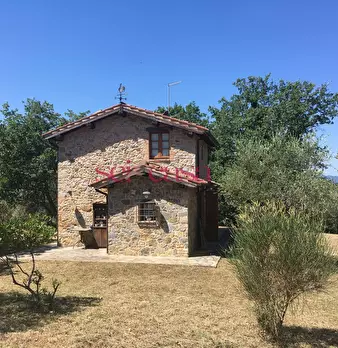 Foto annuncio 41