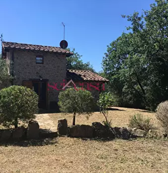 Foto annuncio 42