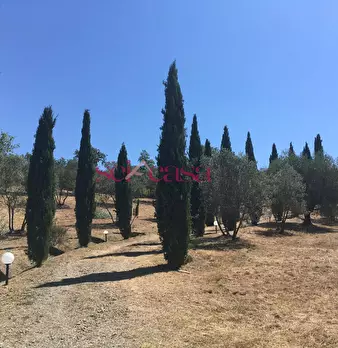 Foto annuncio 47