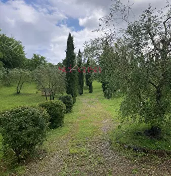 Foto annuncio 48