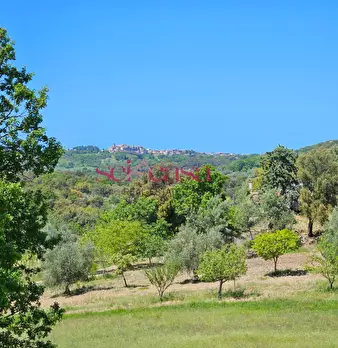 Foto annuncio 40