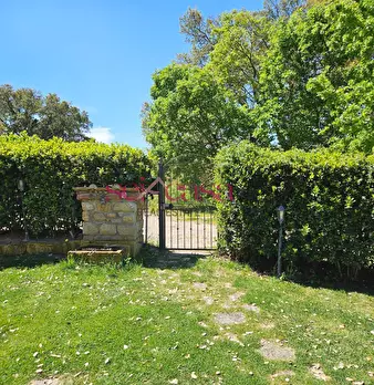 Foto annuncio 41