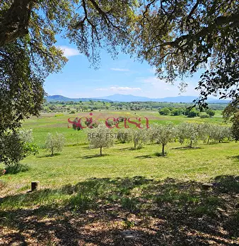 Foto annuncio 42