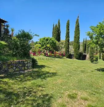 Foto annuncio 44