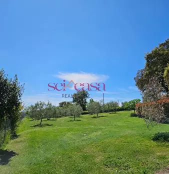 Foto annuncio 47