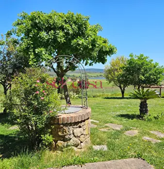 Foto annuncio 49