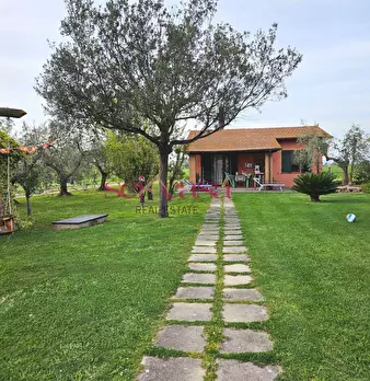 Foto annuncio 25