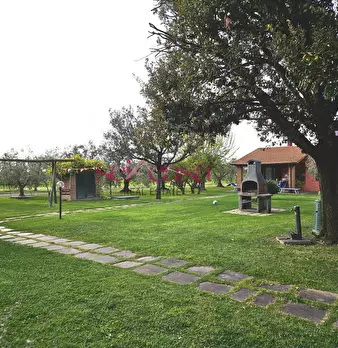 Foto annuncio 28