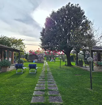 Foto annuncio 29