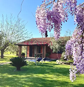 Foto annuncio 38