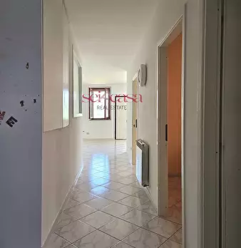 Foto annuncio 14