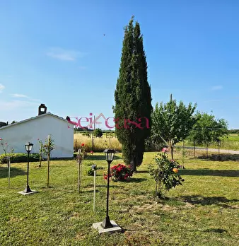 Foto annuncio 25