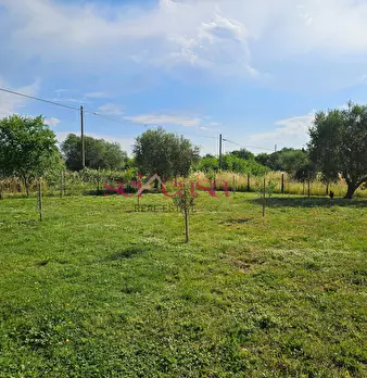 Foto annuncio 28