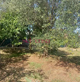 Foto annuncio 18