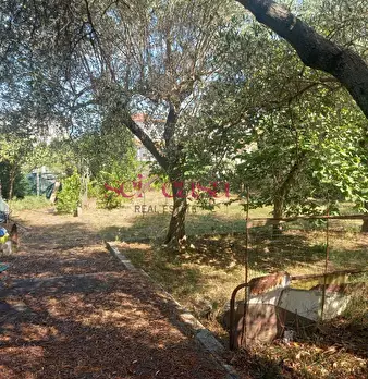 Foto annuncio 19