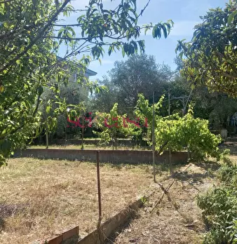 Foto annuncio 20