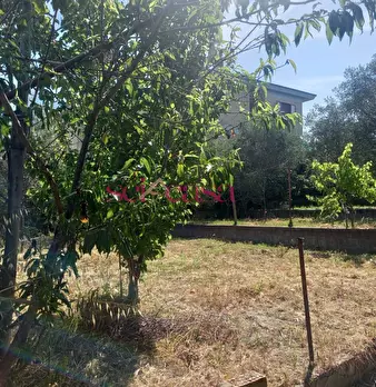 Foto annuncio 22