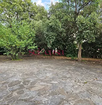 Foto annuncio 23