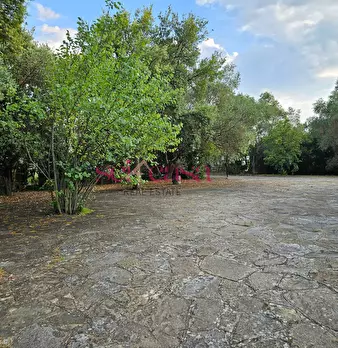 Foto annuncio 28